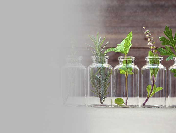Herbal Medicines